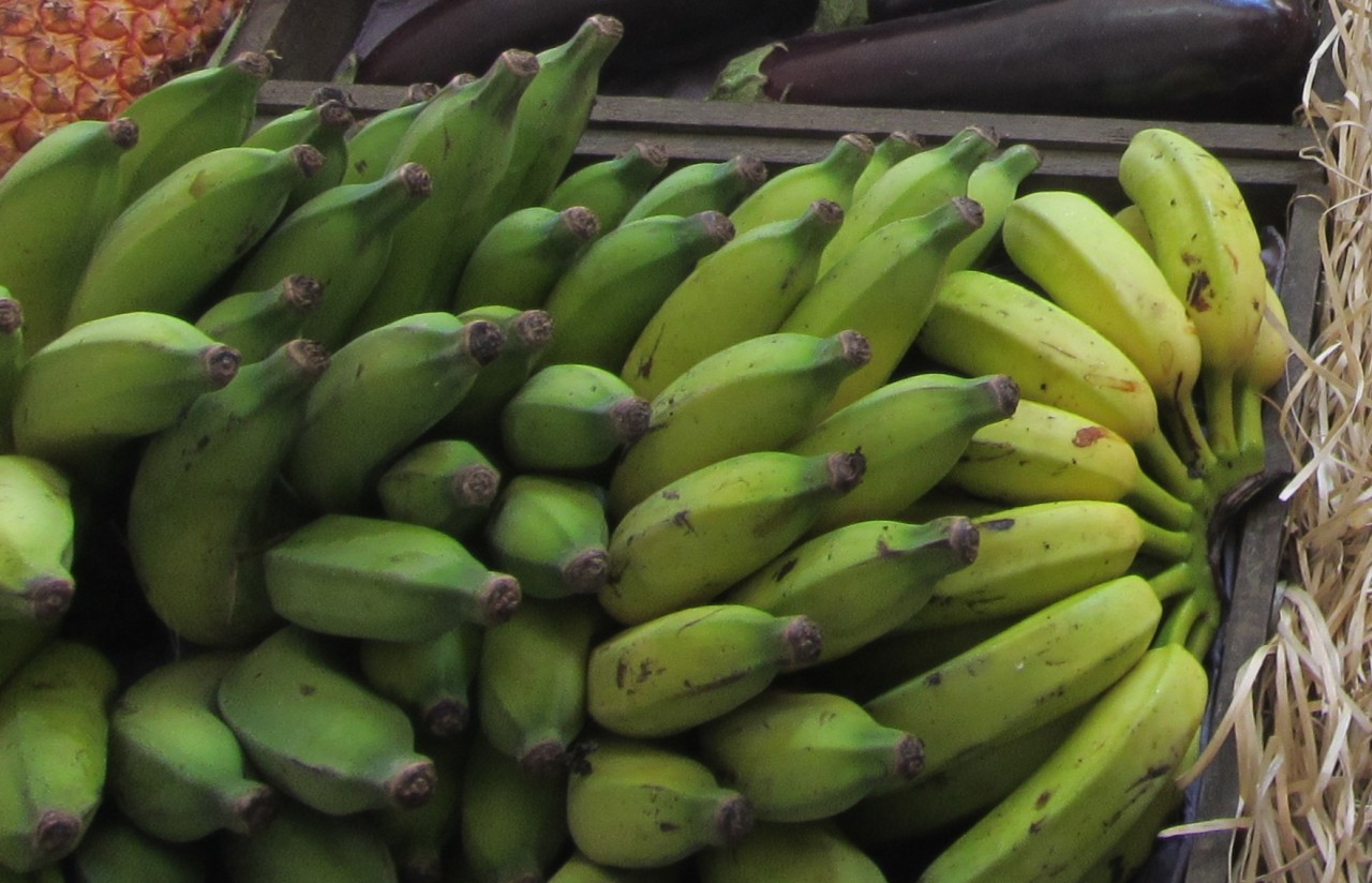 Benefícios da banana para as mulheres, Composição química da banana, Banana nanica benefícios e malefícios